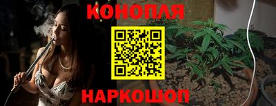 мяу мяу мука Кингисепп